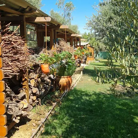 Rocky House 住宿加早餐酒店 *