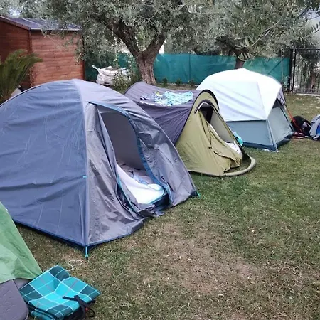 Rocky House 住宿加早餐酒店 日帕特尼纳
