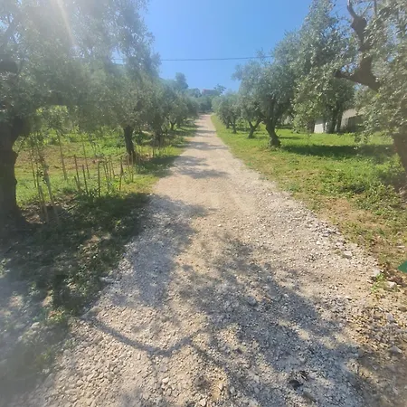 住宿加早餐酒店 Rocky House