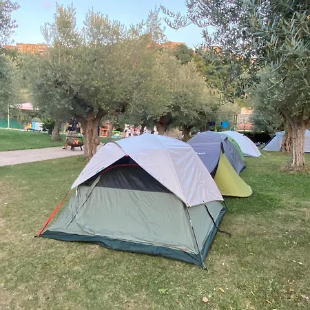 Rocky House * 日帕特尼纳