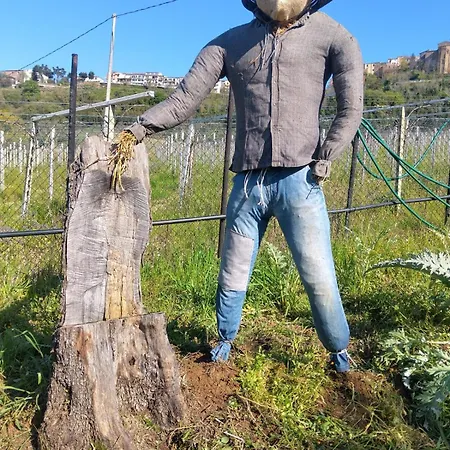 Rocky House 住宿加早餐酒店 *