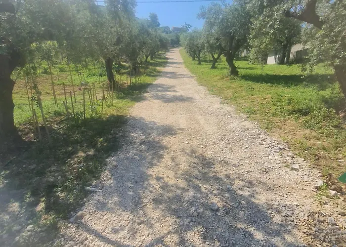 Bed and breakfast Rocky House