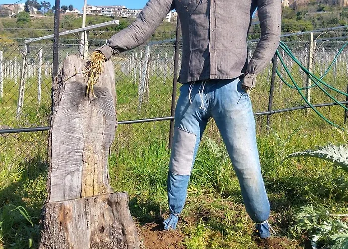 Rocky House Bed and breakfast *